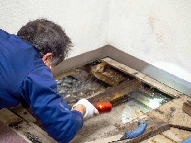 Best Crawl Space Mold Removal  in Lisbon, ND