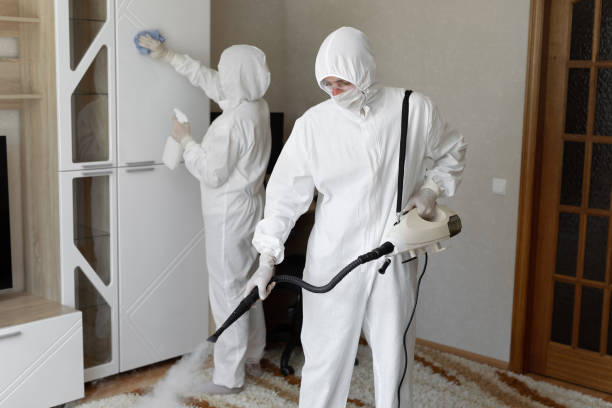 Mold Removal Process in Lisbon, ND