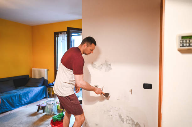 Best Mold Remediation  in Lisbon, ND